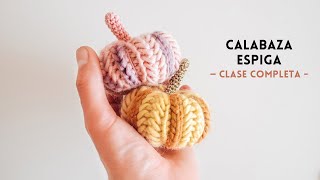 Calabaza espiga  Herringbone  paso a paso [upl. by Ytisahcal825]