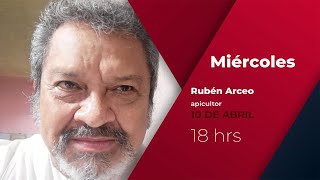 Las abejas nos dan nutrición belleza y salud Rubén Arceo [upl. by Fritze]