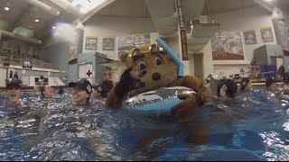 Minnesota Moments In the Pool with the Big Ten Champions [upl. by Johnathan]