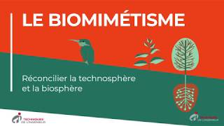 Infographie Techniques de l’ingénieur  Animation sur le biomimétisme [upl. by Ayeki]