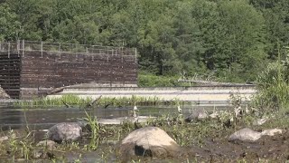 Cherryfield bids farewell to 60yearold ice dam that hindered fish migration [upl. by Lirrehs]