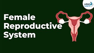 Female Reproductive System  Infinity Learn NEET [upl. by Etolas]