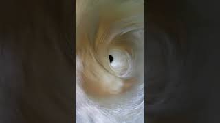 Vortex formation in Gravitational water vortex turbine [upl. by Cyprian]