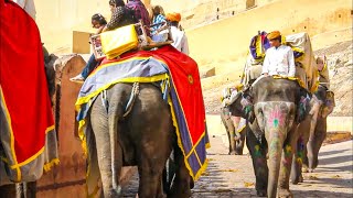 Rajasthan the Land of the Kings  Full Documentary [upl. by Enavi]