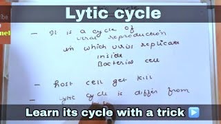 Lytic cycle in hindi ll biology ll [upl. by Zonnya]