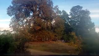 California  Laytonville  Spyrock Road  Timelapse  November 2023 [upl. by Tyrone231]