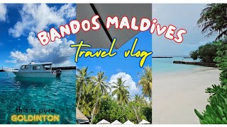 Bandos maldives resort and spa stay [upl. by Ranson]