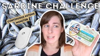 😭72 hour SARDINE Challenge Day 1 with a CONTINUOUS Ketone Monitor DoctorBoz [upl. by Shaeffer]