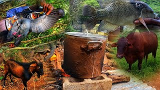 ALL MEAT SOUP BEEF GOAT BIRD FISH WILD SOUP COOKOUT [upl. by Marja]