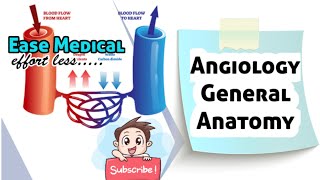 Angiology General Antomy Medical videos Ease Medical Easemedical [upl. by Wickham]