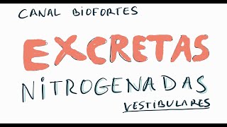 EXCRETAS NITROGENADAS [upl. by Worden]