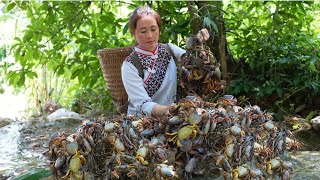 Vang Hoa goes into the green forest to earn money to cure stage 2 liver disease for zon [upl. by Nahtnhoj]