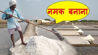 Natural Salt Making with Sea Water  NaCl  Salt Mineral Make Process India  नमक बनाने की प्रक्रिया [upl. by Botzow477]