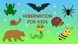 Hibernation for kids  Animals that hibernate [upl. by Kannav846]