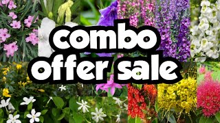 combo offer saleSeras gardens120624 [upl. by Eugenio714]