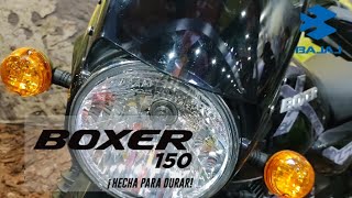 Nueva BAJAJ BOXER X150  MODELO 2024 Con ADN de doble propósito Lanzamiento F2R [upl. by Inva290]