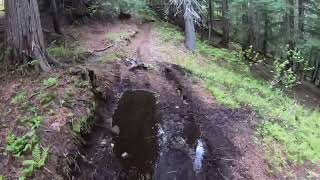 Dirt bike riding Revelstoke BC Canada [upl. by Ettezzus]