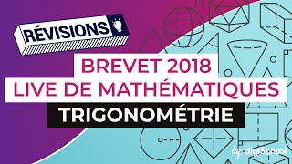 Brevet 2018  Révisions de Maths  Trigonométrie [upl. by Enytsuj383]