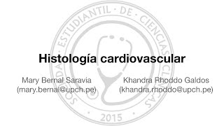 Histología cardiovascular [upl. by Ailana]