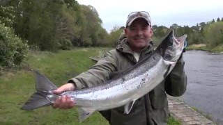 Drowes Salmon Fishery  Spring Salmon Fishing In Ireland [upl. by Naivart155]