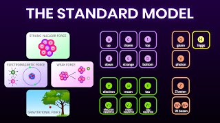 All Fundamental Forces and Particles Explained Simply  Elementary particles [upl. by Ocimad208]