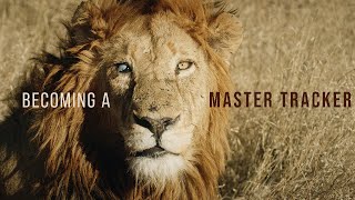 Becoming a Master Tracker  Inside Africas Kruger National Park [upl. by Darej615]