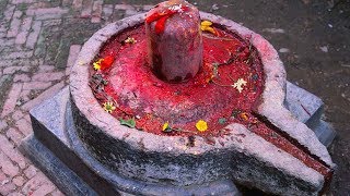 Lingashtakam  Brahmamurari Surarcita Lingam  Lord Shiva Songs  Veeramani Kannan [upl. by Olnek882]