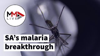 Malaria to be eradicated soon What you need to know about SA’s malaria breakthrough [upl. by Killarney516]