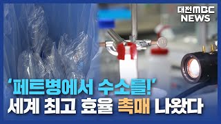 quot페트병 녹여 98 수소로 전환quot대전MBC [upl. by Santiago]