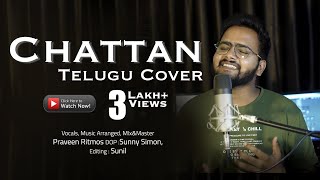 Sudigaalainanu Chattan Telugu  Cover  By Praveen Ritmos [upl. by Ecneps]