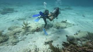 Puerto Morelos Mexico reef dive [upl. by Akayas]