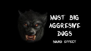 Most big aggressive dogs bark amp growl  True recording sound effects HQ [upl. by Emlen]