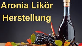 ⭐⭐ Aronia Likör selber herstellen  schnelles Aronia Likör Rezept ⭐⭐ [upl. by Ludvig851]