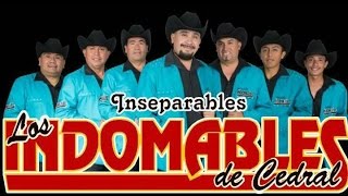 LOS INDOMABLES DE CEDRAL MIX [upl. by Thevenot]