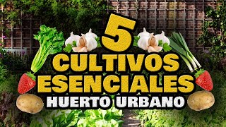 5 Cultivos ESENCIALES y RÁPIDOS 🍅 Empezar un Huerto Urbano en Casa  Hortalizas Fáciles y Rápidas [upl. by Gilberta]