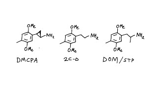 DMCPA a conformationally restricted phenethylamine [upl. by Yraeg]