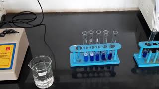 Estimation of Protein by Biuret Method [upl. by Ycnalc]