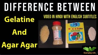 Difference between Gelatine and AgarAgar  जेलटीन और अगर अगर में अंतर  Everyday Life 48 [upl. by Kablesh118]