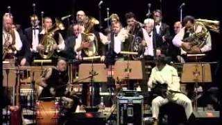 Goran Bregovic  Mesecina  LIVE [upl. by Annalla]