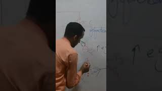 Pathophysiology for Nurses science chemistry class neet nursinglecturewithimtiaz immunesystem [upl. by Jehius]