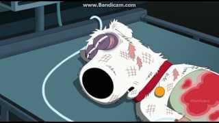 Family Guy  Season 12 Episode 3  Brians Death [upl. by Fritts64]