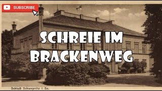 SCHREIE IM BRACKENWEG krimihörspiel retro Günther Strack Wilfried Klaus 90er [upl. by Chalmers]