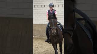 Nog snel 1 GALOP en dan zit de PAARDENLES er weer op Ik reed samen met EKE galop shorts [upl. by Ylesara]