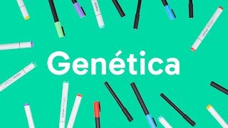 GENÉTICA LEIS DE MENDEL GENES DNA E CROMOSSOMOS  QUER QUE DESENHE [upl. by Ondine]