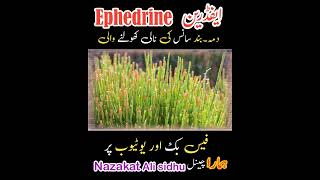 Ephedrine ephedra medicine treatment therapy [upl. by Atsirhcal]