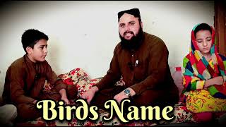 Learn Birds Name From Ahmad Zaib All Types Of EnglishGrammar In Pashto 10000subscriber [upl. by Acinomahs]