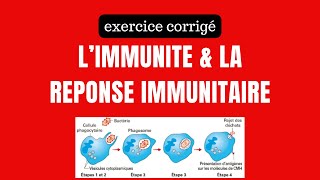 exercice résolu sur limmunité et la réponse immunitaire [upl. by Esmeralda]