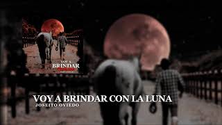 Voy a brindar con la luna  Joseito Oviedo [upl. by Lav]