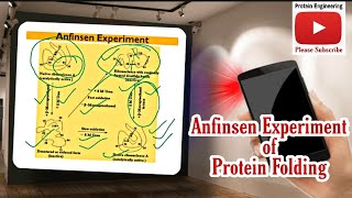 Anfinsen Experiment of Protein Folding  RNAse Folding Experiment  Dr Nagendra Singh  PENS41 [upl. by Eadwina]