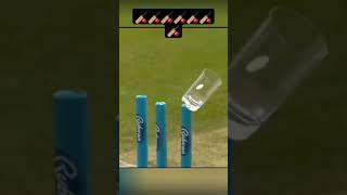 The Great Spin Challenge muralidharan cricket [upl. by Ecar]